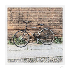bicicletta 51