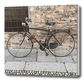 bicicletta 55