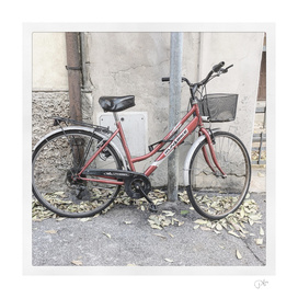 bicicletta18