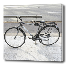 bicicletta 65