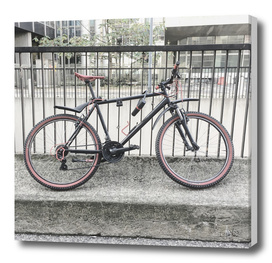bicicletta 63