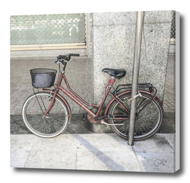 bicicletta 67