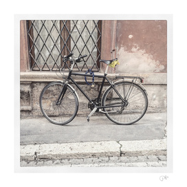 bicicletta 73