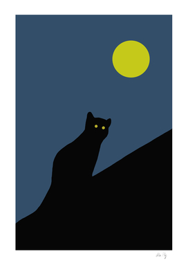 A cat on the roof at night
