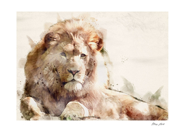 Lion Watercolor