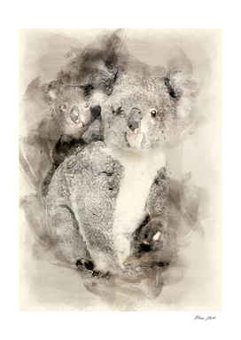 Family Koala