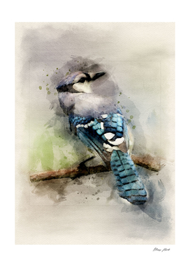 bird art watercolor
