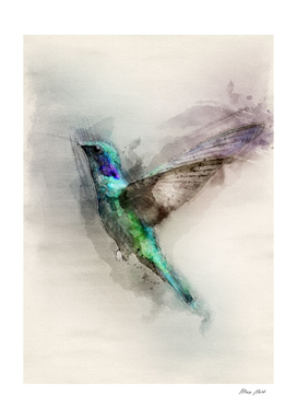 hummingbird art