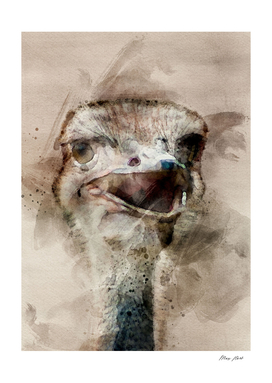 ostrich bird art