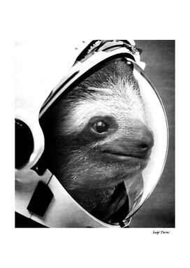 Astronaut Sloth
