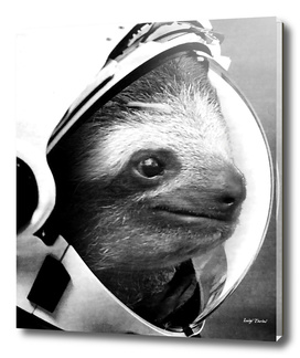 Astronaut Sloth