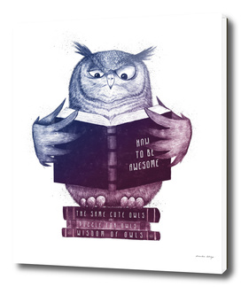 Wise owl in color