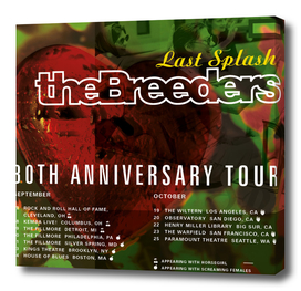 The Breeders Extend 2023 Tour