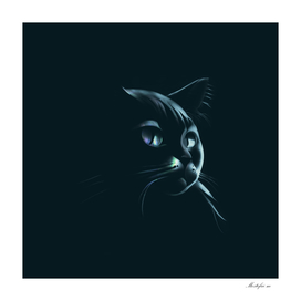 black cat dark mode