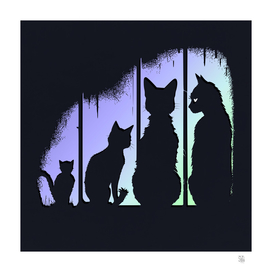 The Cats Shadows