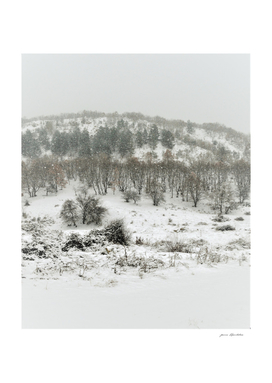 Snowy hillside winter background photography