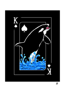 King Orca