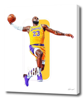 Lebron James La Lakers