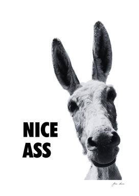 Donkey Nice Ass Bathroom