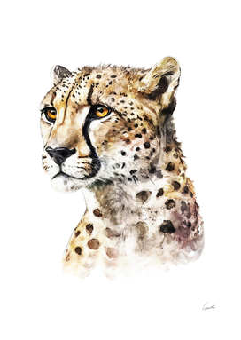 Cheetah Animal Watercolor Painting Portrait