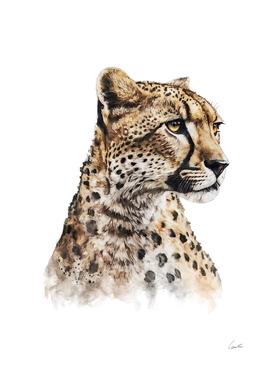 Watercolor Painting Portrait Of A Cheetah