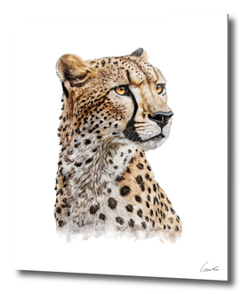 Cheetah Watercolor Painting Portrait