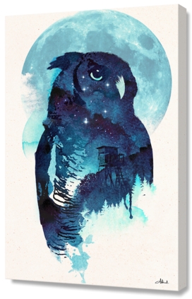 midnight owl