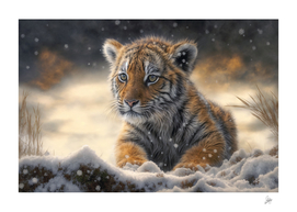Tiger cub playing in the snow