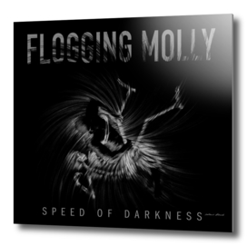Flogging Molly Band