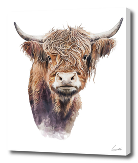 Scottish Highland Cow Watercolor Painting Portrait Cu