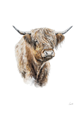 Beautiful Highland Cow Watercolor Painting Portrait