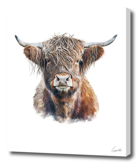 Cute Scottish Highland Cow Watercolor Painting