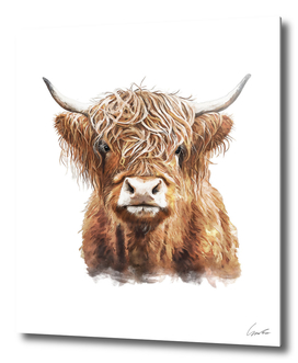 Highland Cow Illustration Watercolor Painting