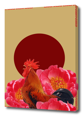 ROOSTER BLOSSOM