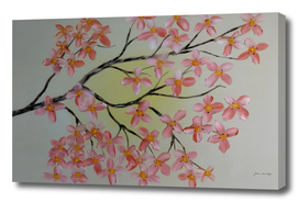 Sakura branch