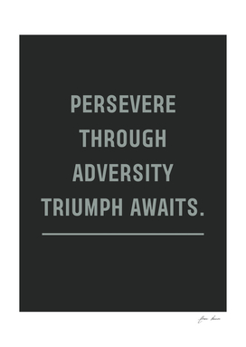 Persevere Through Adversity – Triumph Awaits.