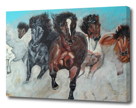 Herd of horses. Painting with a horse