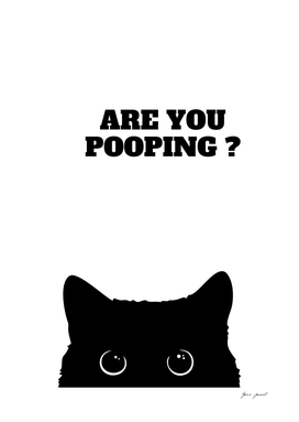 Black Cat Are You Pooping