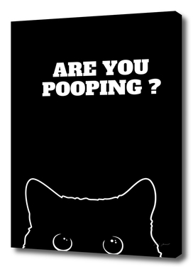 Black Cat Are You Pooping 2
