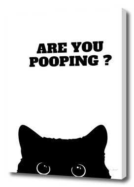 Black Cat Are You Pooping poster