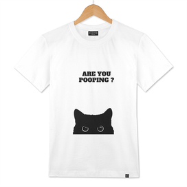 Black Cat Are You Pooping poster