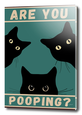 black cat are you pooping poster