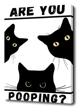 black cat are you pooping toilet poster