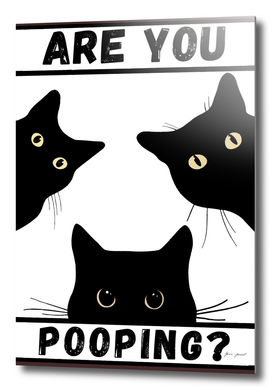black cat are you pooping toilet poster