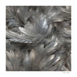 Silver Feathers