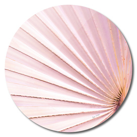 Fan palm - pink