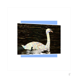 Swans Of Bruges