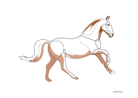 Gallop - line horse