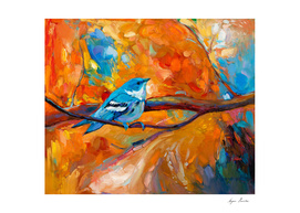 Blue Cerulean Warbler bird