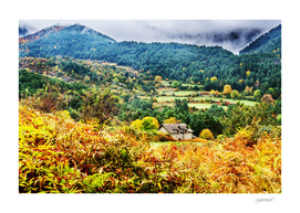 Autumn in the Pyrenees